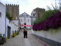 Obidos Staedtchen aus dem Mittelalter (5)